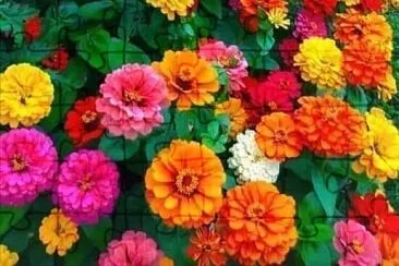 一隅 jigsaw puzzle