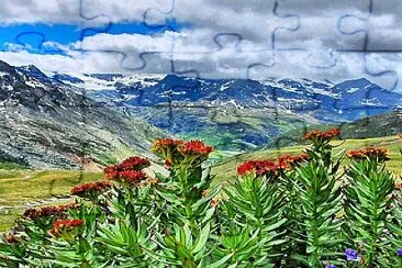 Haute Maurienne Vanoise
