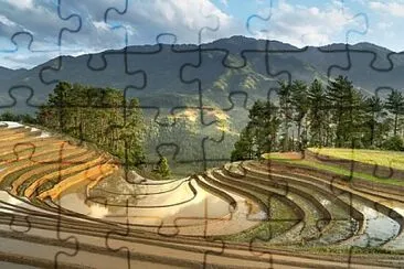 Toy jigsaw puzzle