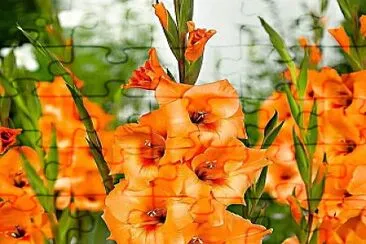 imagem jigsaw puzzle