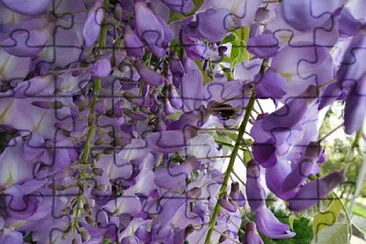 Toy jigsaw puzzle