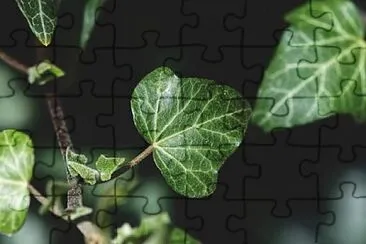 Toy jigsaw puzzle
