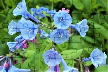 spring #256 jigsaw puzzle