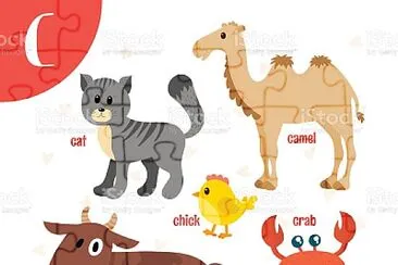 anim34 jigsaw puzzle