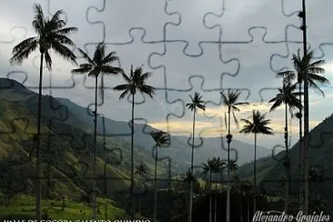 Palma de Cera del Quindio jigsaw puzzle