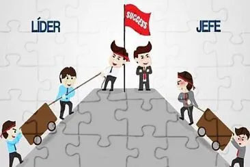  jigsaw puzzle