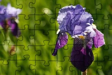 Toy jigsaw puzzle