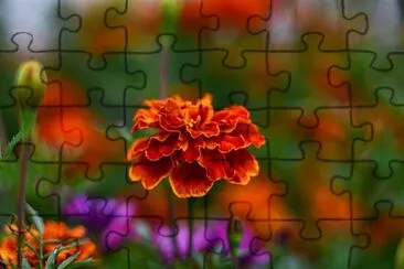 Toy jigsaw puzzle