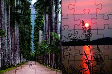 風景 jigsaw puzzle