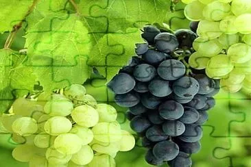 imagem jigsaw puzzle