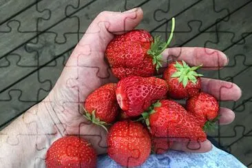 Strawberries in hand jigsaw puzzle
