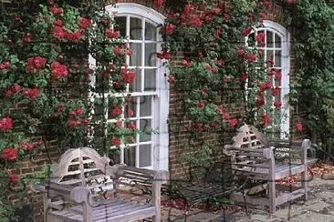 Balcones floridos