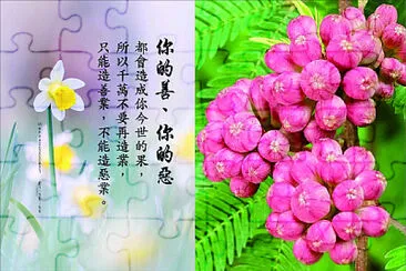 勸世文 jigsaw puzzle