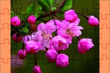 花漾 jigsaw puzzle