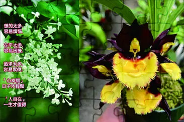 花漾 jigsaw puzzle