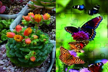 花漾 jigsaw puzzle