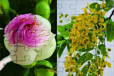 花漾 jigsaw puzzle