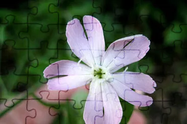 Toy jigsaw puzzle