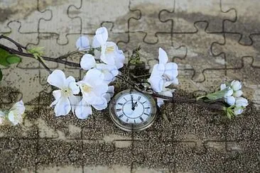 Toy jigsaw puzzle