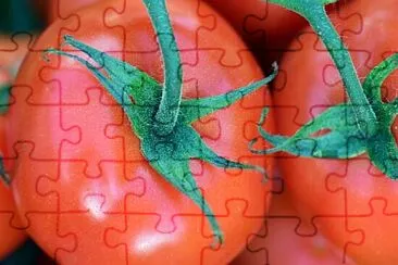 פאזל של Toy