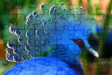 Toy jigsaw puzzle