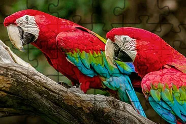 Toy jigsaw puzzle