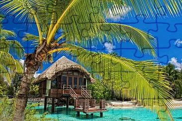 Palm Resort jigsaw puzzle