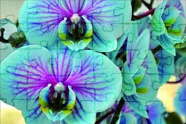 花漾 jigsaw puzzle
