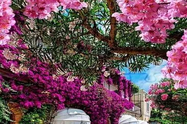Italia jigsaw puzzle