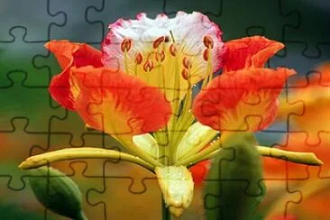 pop jigsaw puzzle