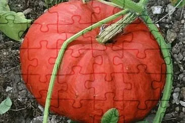 Foto jigsaw puzzle