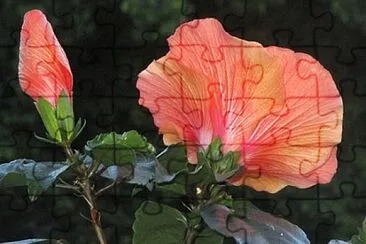Toy jigsaw puzzle