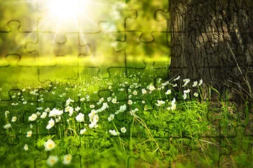 Foto jigsaw puzzle