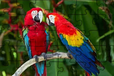Foto jigsaw puzzle