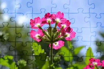 Toy jigsaw puzzle