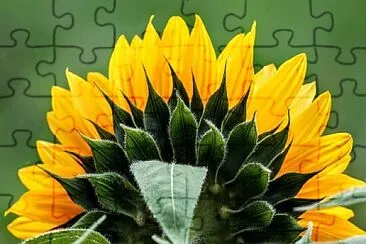 Foto jigsaw puzzle