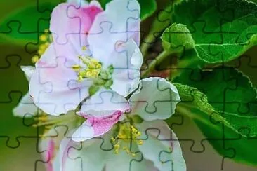 花漾 jigsaw puzzle