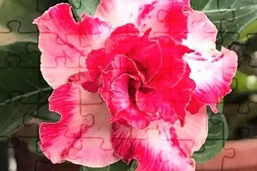 花漾 jigsaw puzzle