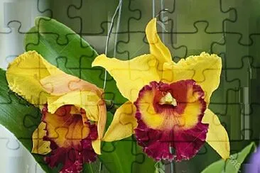 OK jigsaw puzzle