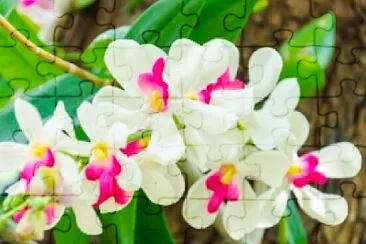 OK jigsaw puzzle