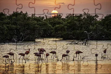 Sunset with Flamingos jigsaw puzzle