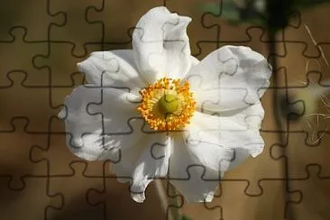 Foto jigsaw puzzle