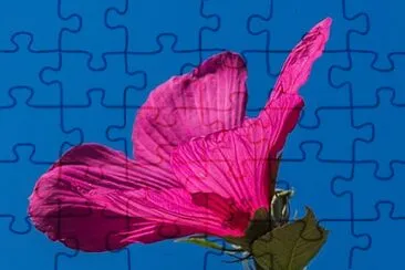 Foto jigsaw puzzle