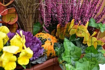 Foto jigsaw puzzle