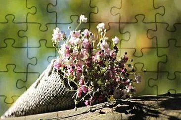 Foto jigsaw puzzle