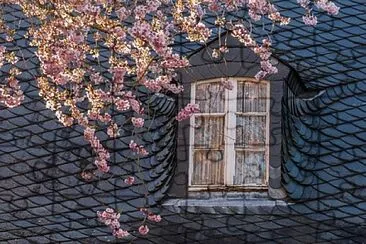 Foto jigsaw puzzle