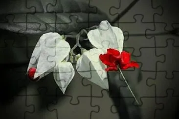 Foto jigsaw puzzle