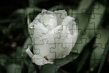 Foto jigsaw puzzle