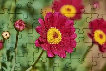 token jigsaw puzzle