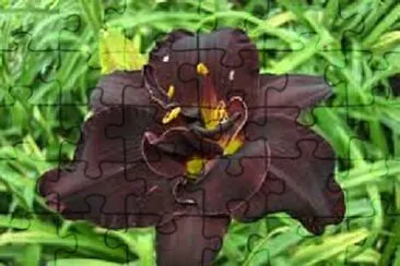 Foto jigsaw puzzle